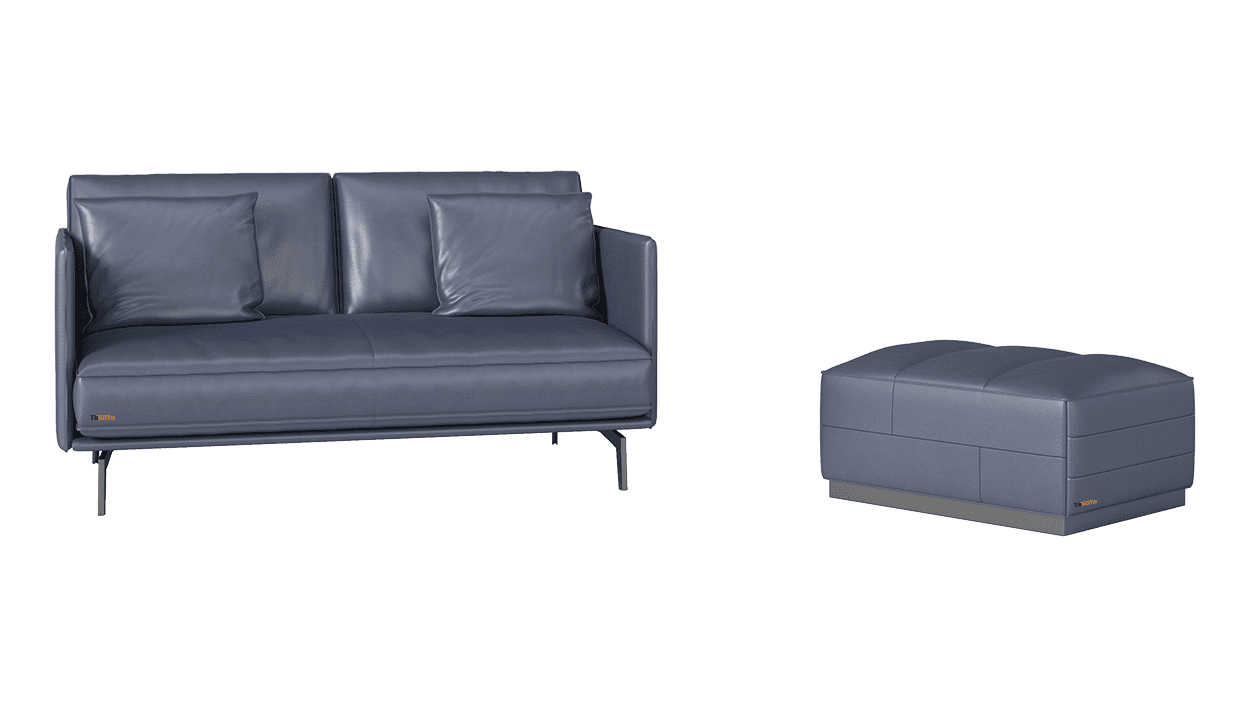 Mẫu Sofa Forte đôi đôn - TLI